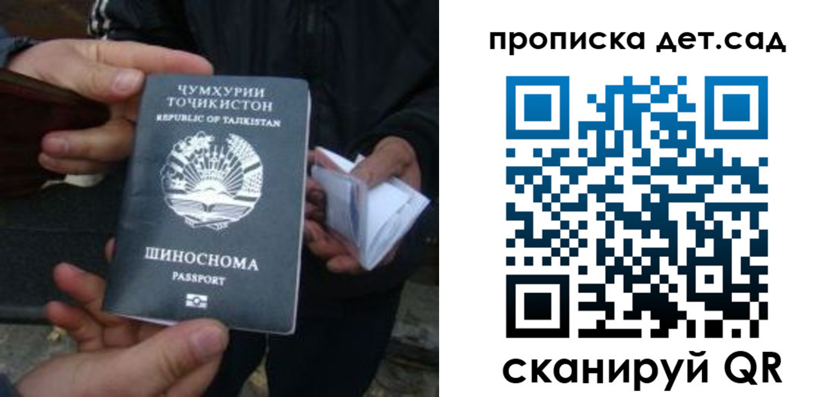 миграционный учет в Владимирской области
